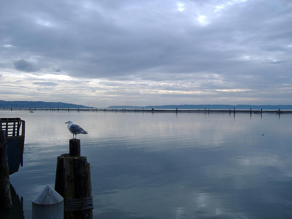 Everett Yacht Club on Port Gardner Wharf in Washington