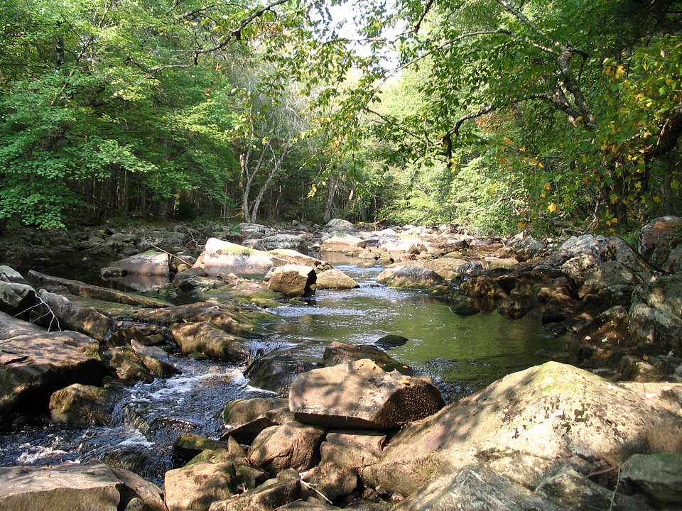 Little River in the Fall in Nova Scotia, Canada