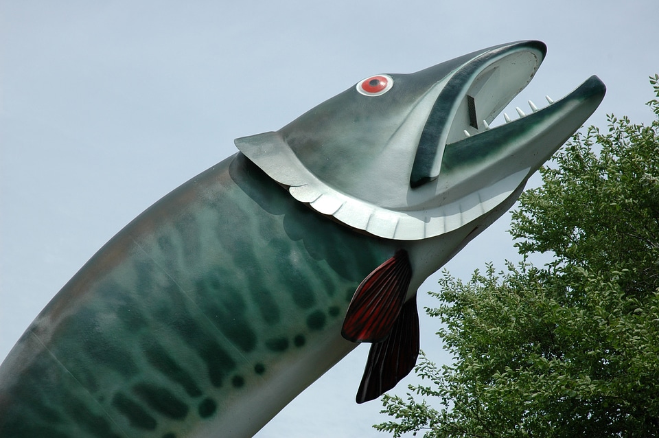 Husky the Muskie Fish Statue in Kenora, Ontario, Canada