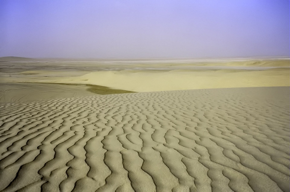 Desert Landscape in Qatar