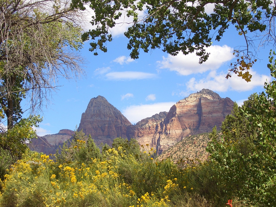 View of Zion Canyon in Zion National Park, Utah