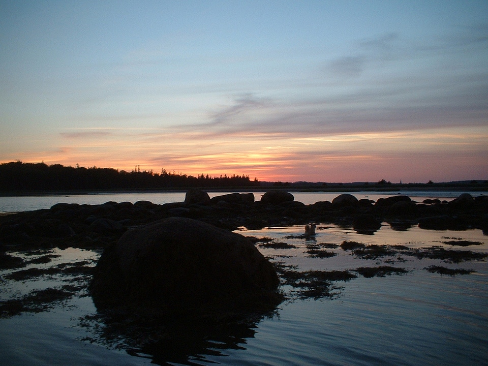 Landscape of Island off East Chezzetcook in Halifax, Nova Scotia
