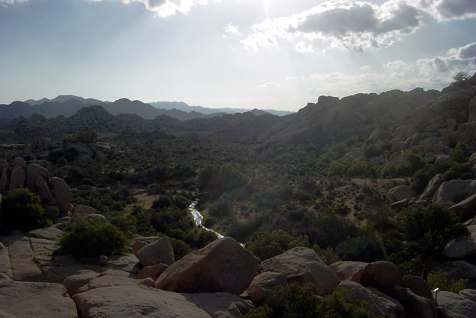 Sunlight and landscape at Joshua Tree National Park, California photo