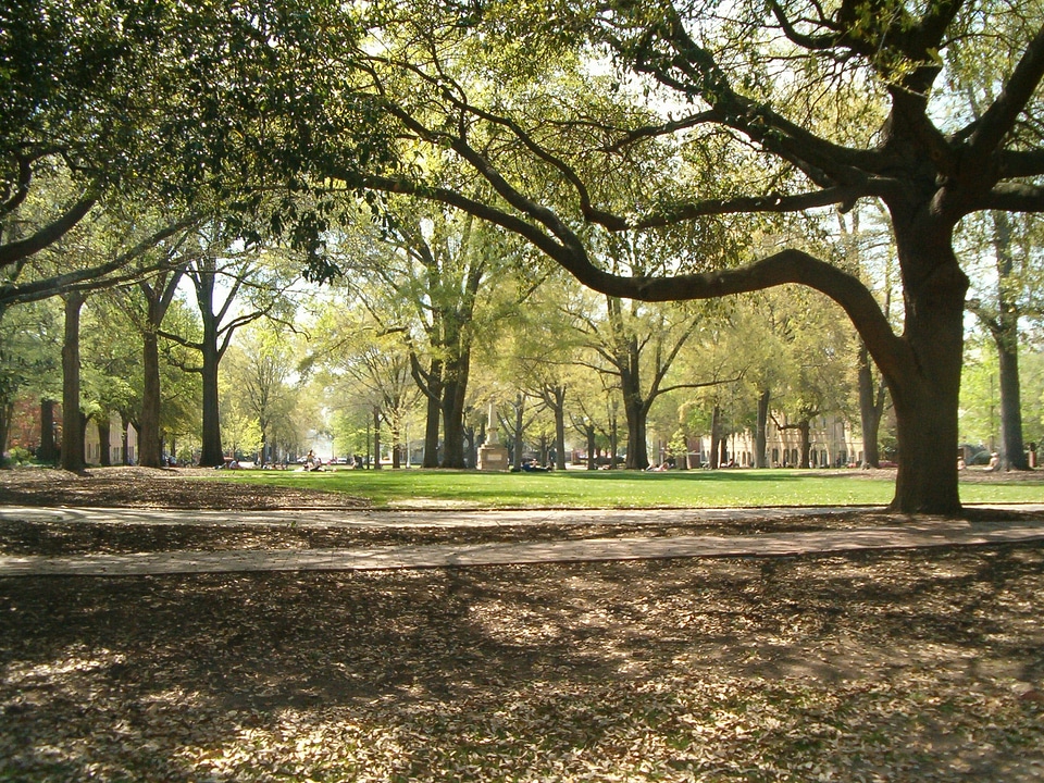 The horseshoe at the University of South Carolina in Columbia