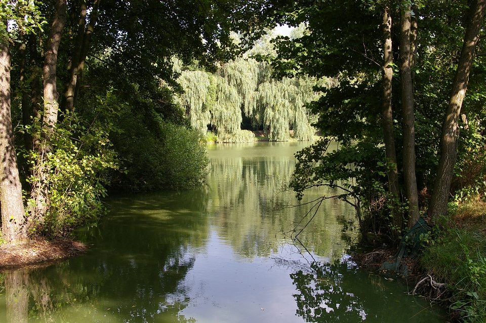 Lake green reflection