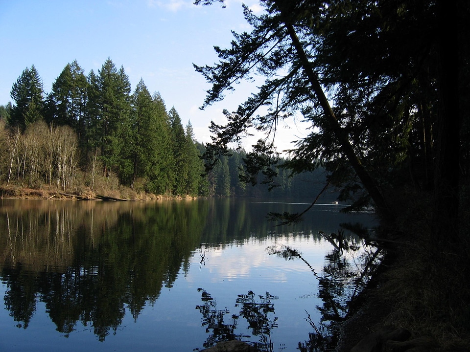 Round Lake Landscape near Camas, Washington