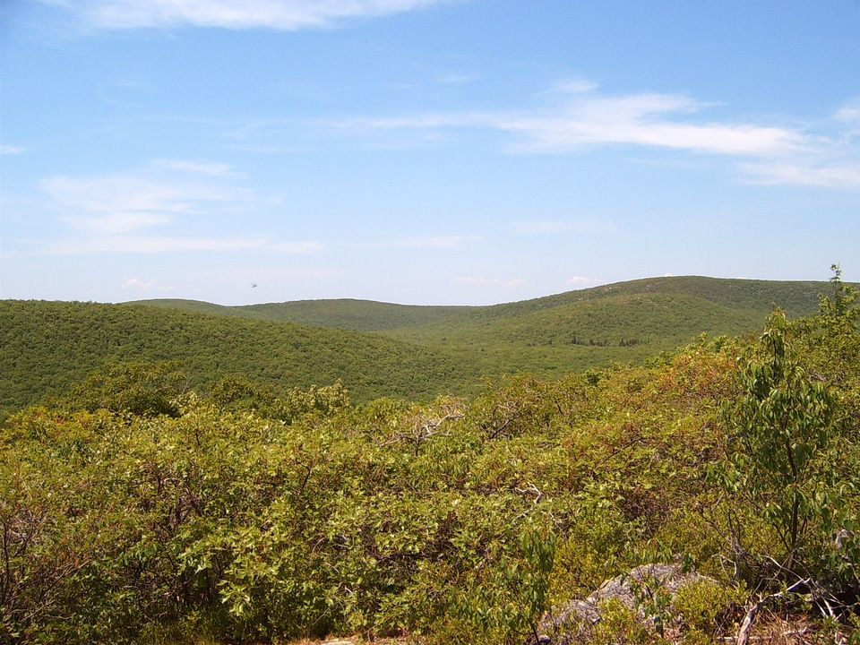 Mount Frissell, the high point of Connecticut landscape