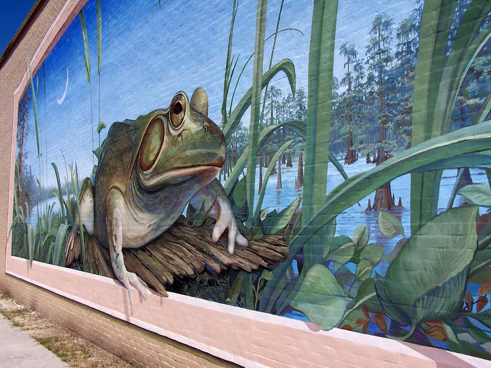 Frog Sitting on a chair Mural in Rayne, Louisiana