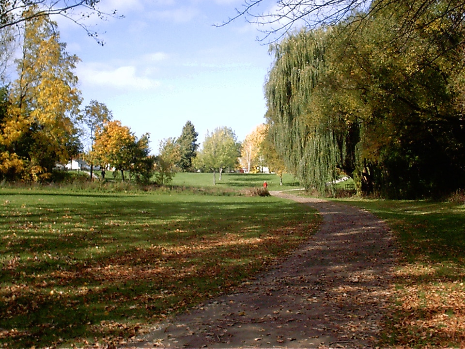 Walker's Creek in Catharines, Ontario, Canada