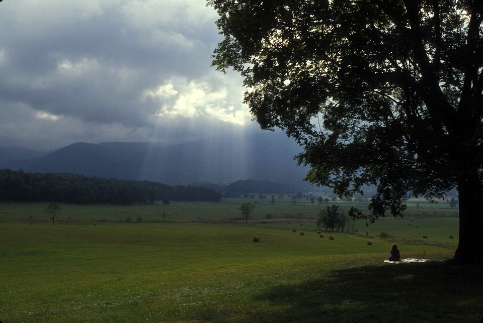  Women sitting under tree under heavy clouds in Great Smoky Mountains National Park, Tennessee