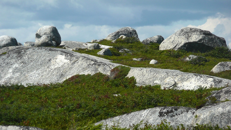 Landscape with Rocks and Grass