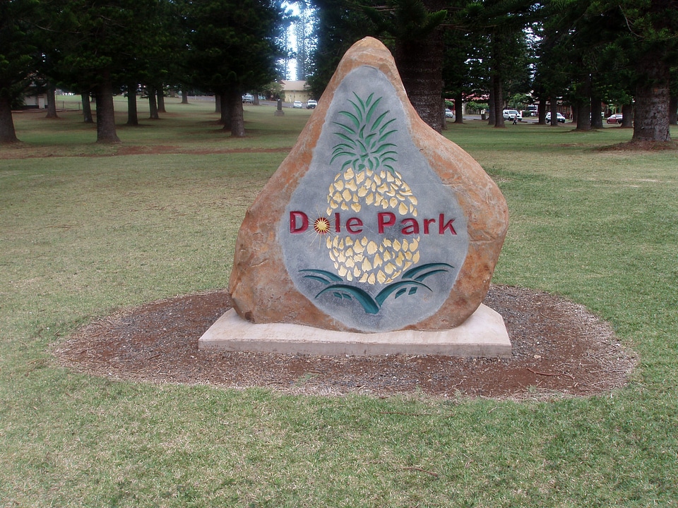 Dole Park Rock Statue in Lanai City, Hawaii