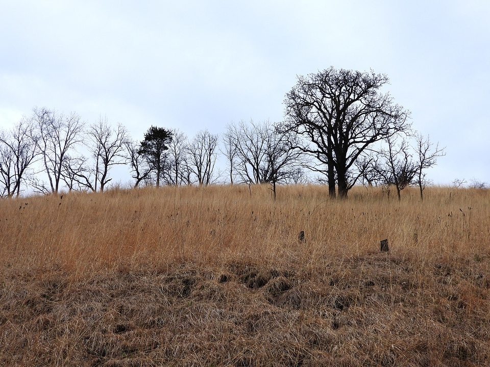 Looking upward at the hill