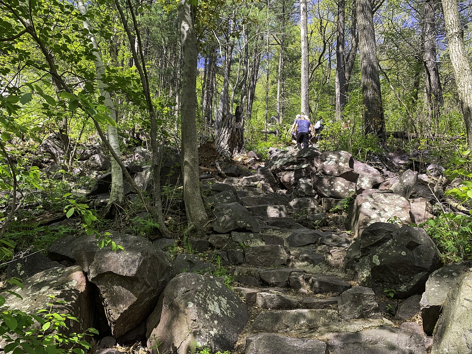 Upwards Trail at Devil's Lake State Park