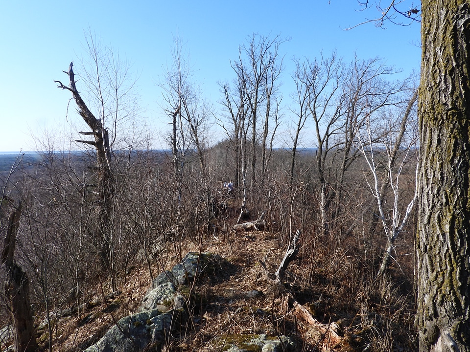 Thorny and rough Ridge trail
