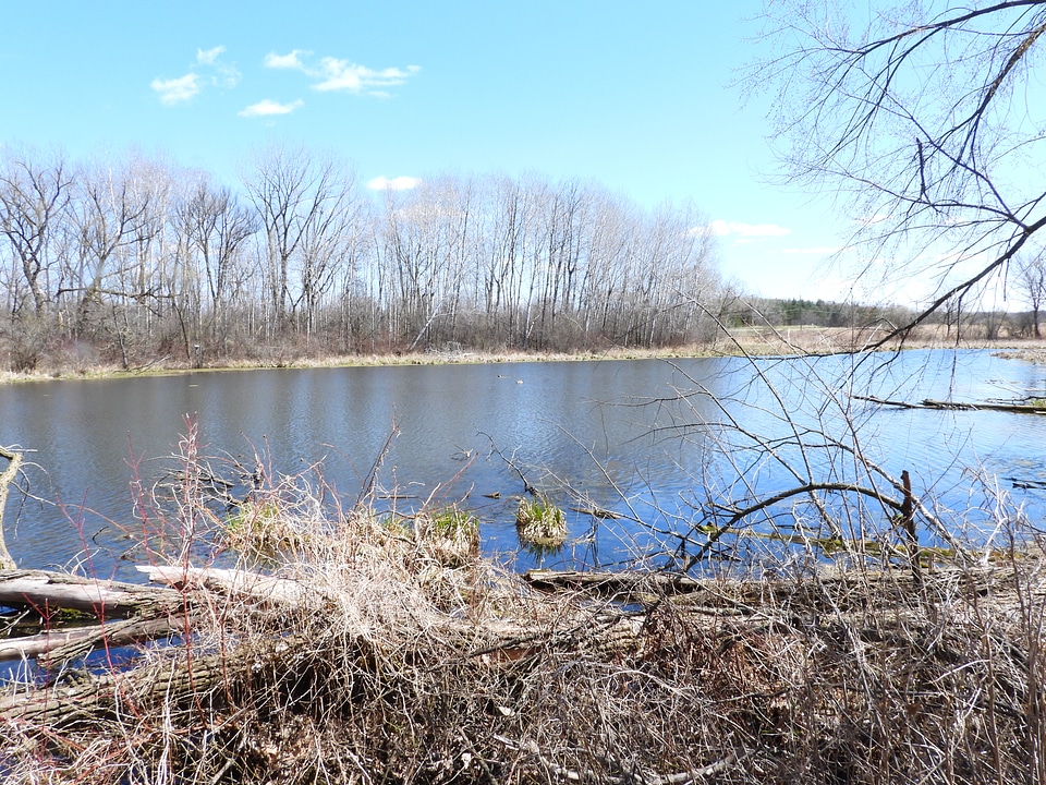 River Scenery at Camrock County Park