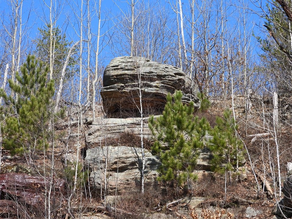 Rocky Bluff and Trees at Quincy Bluff