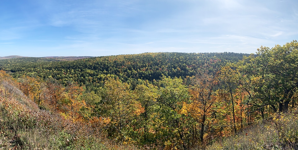 Panoramic View, autumn forest on earth