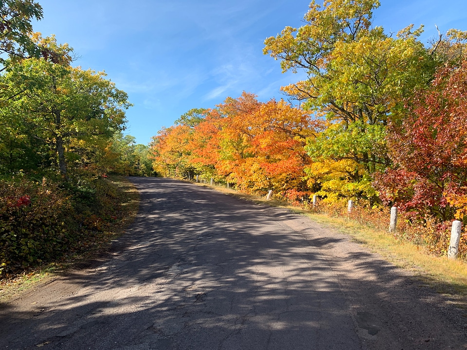 Leaves on Brock Mountain Drive