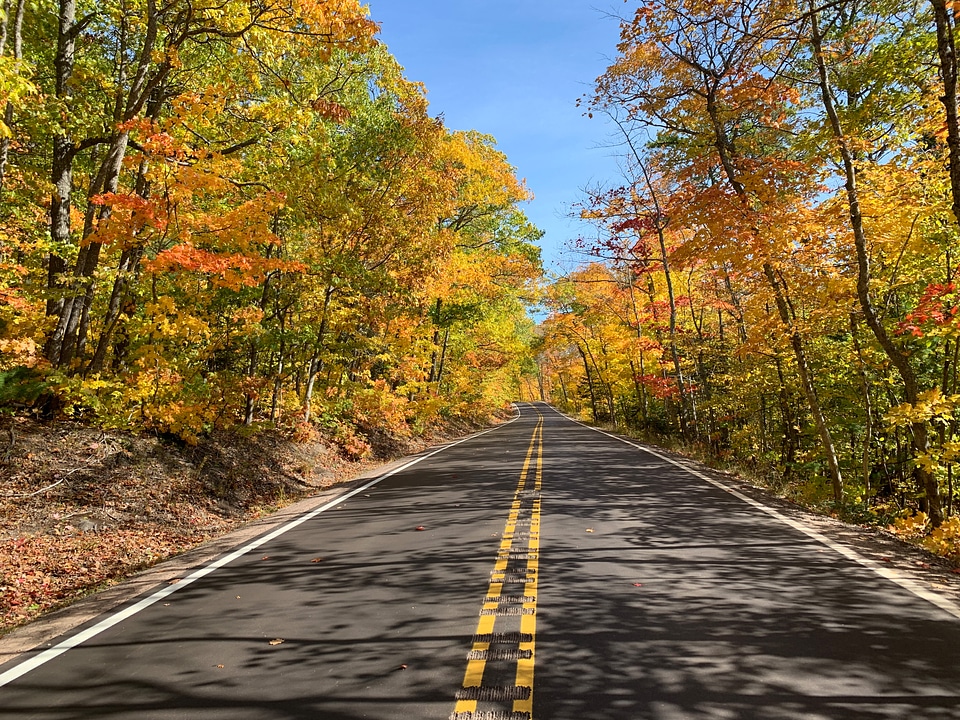 Autumn forest on the side of the road photo