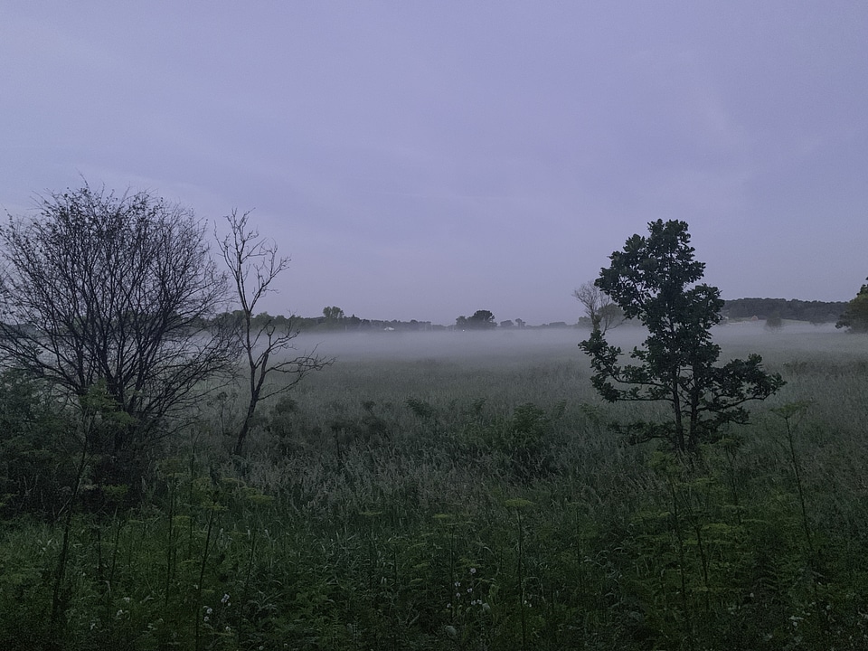 Misty and Foggy Morning on the trail