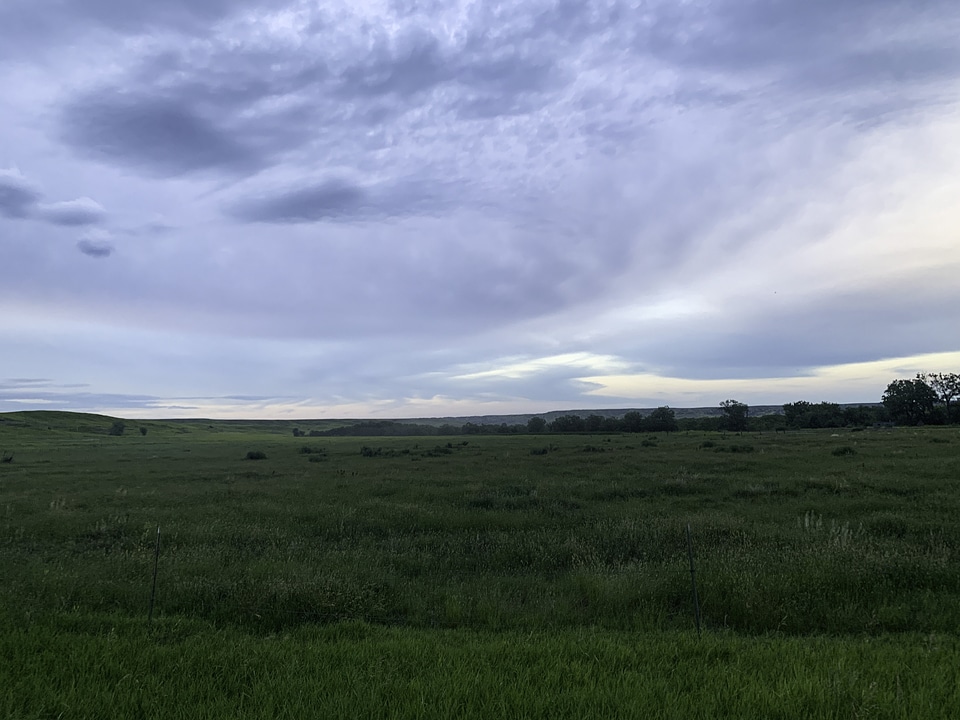 Grasslands in Wasta, South Dakota
