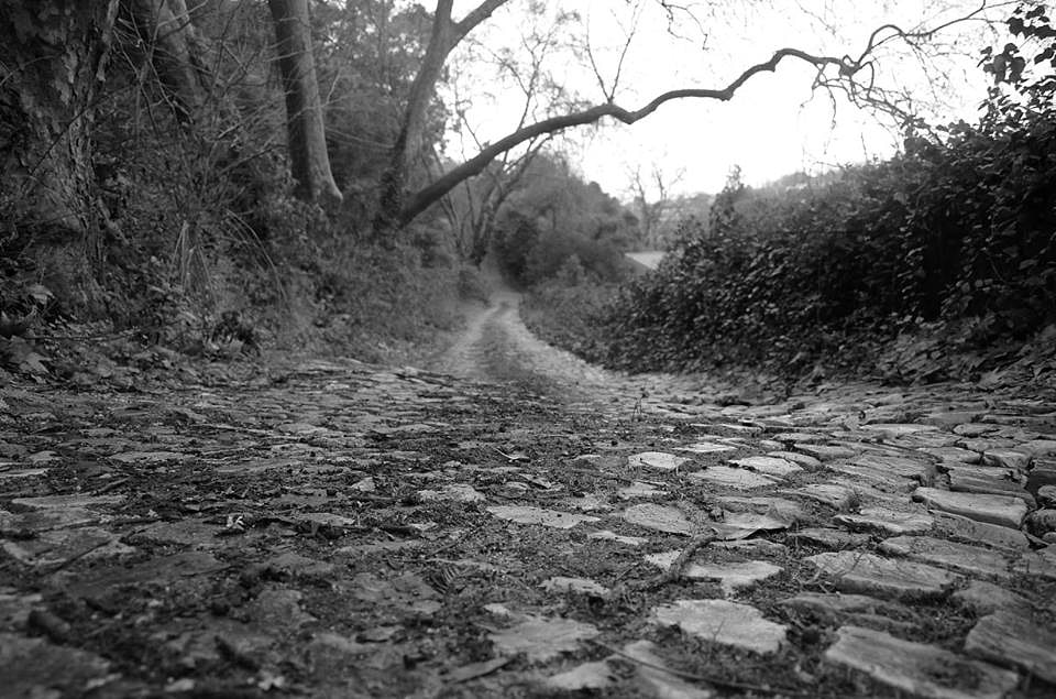 Black and White hiking trail