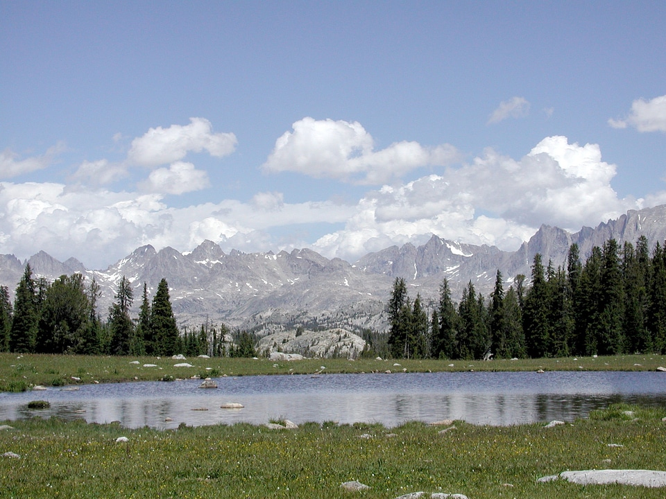 Beautiful Landscape from the Sweeney Cr Divide