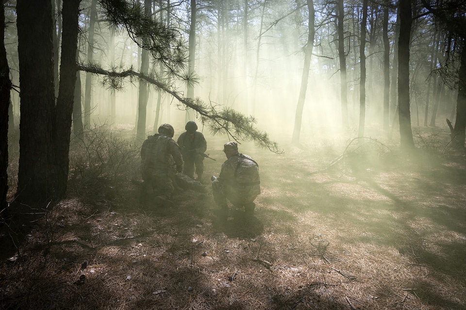 Soldiers in the forest in the morning mist