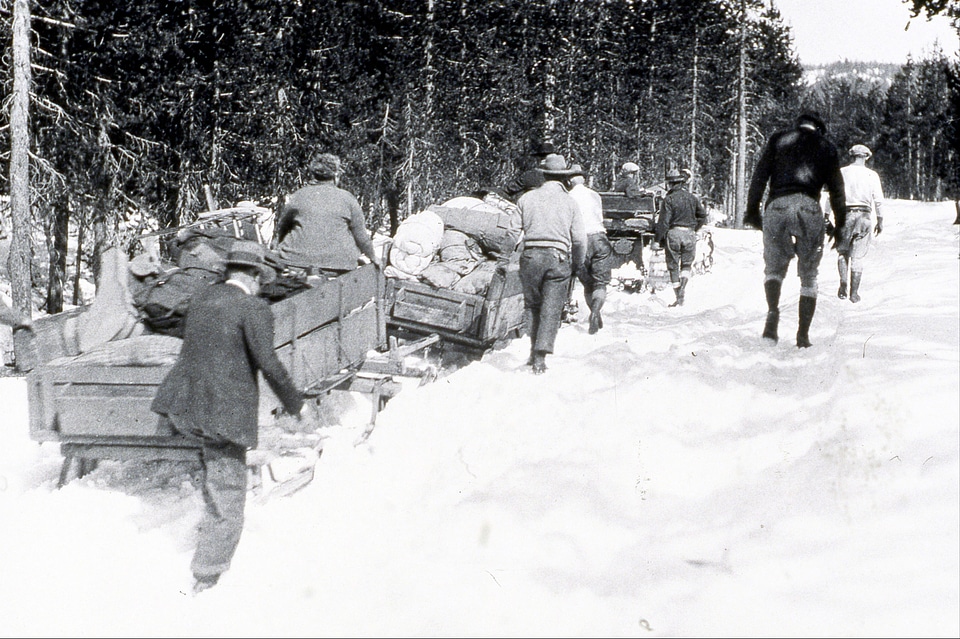 People pulling sleds through the snow 1929