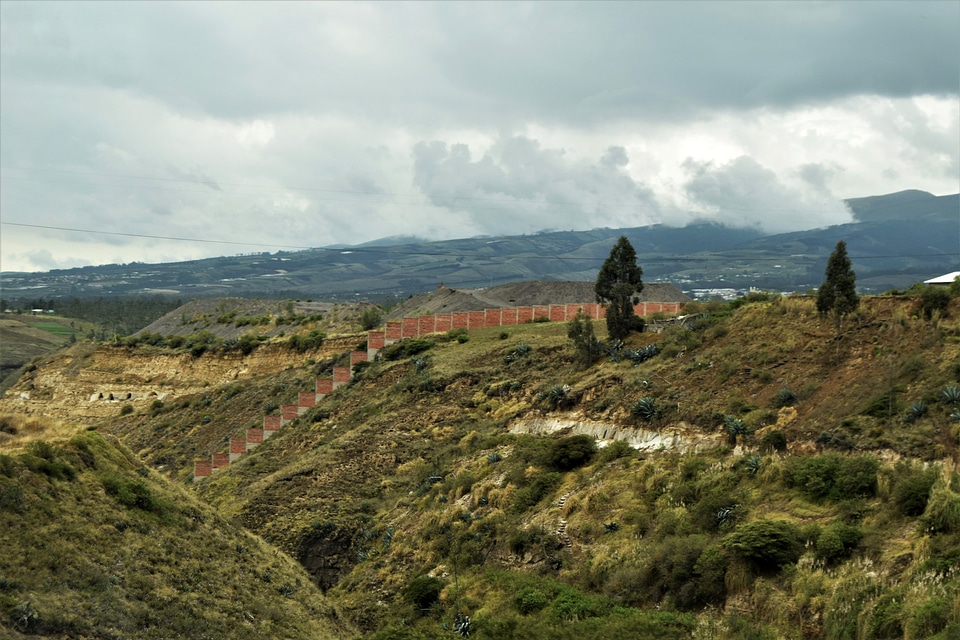 Hillside landscape with shrubs