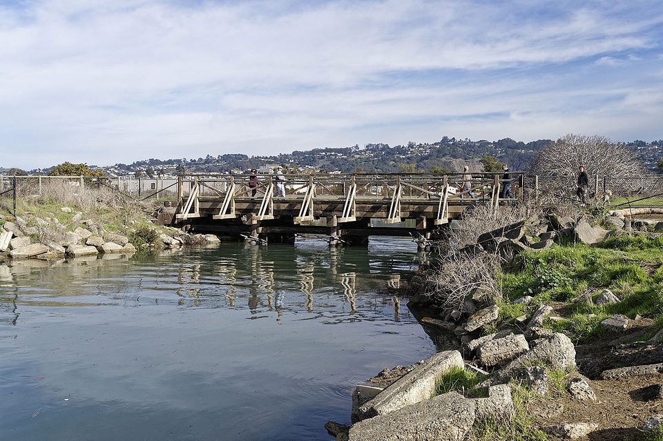 Bridge Across the Tide