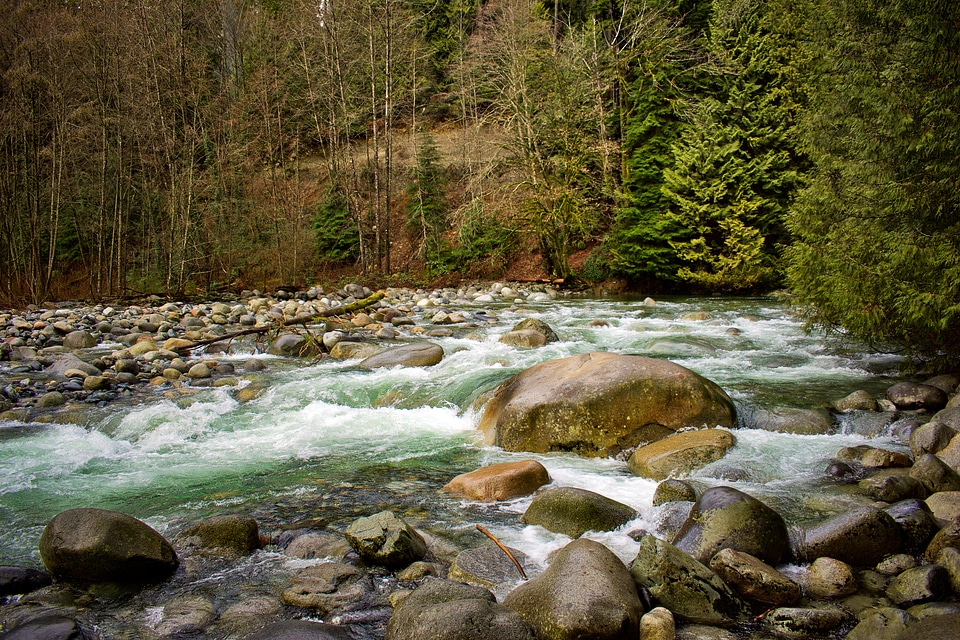 Rushing Stream Nature landscape photo