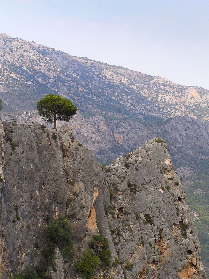 Nature atmosphere mood