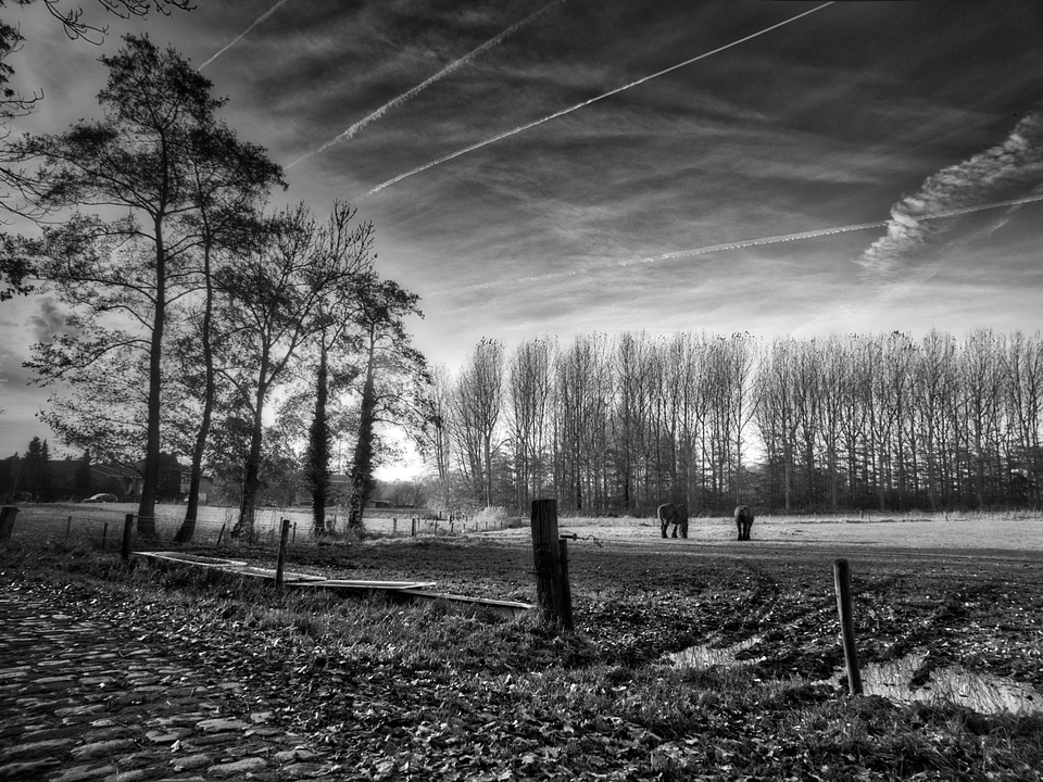 Meadow and farm in Antwerp