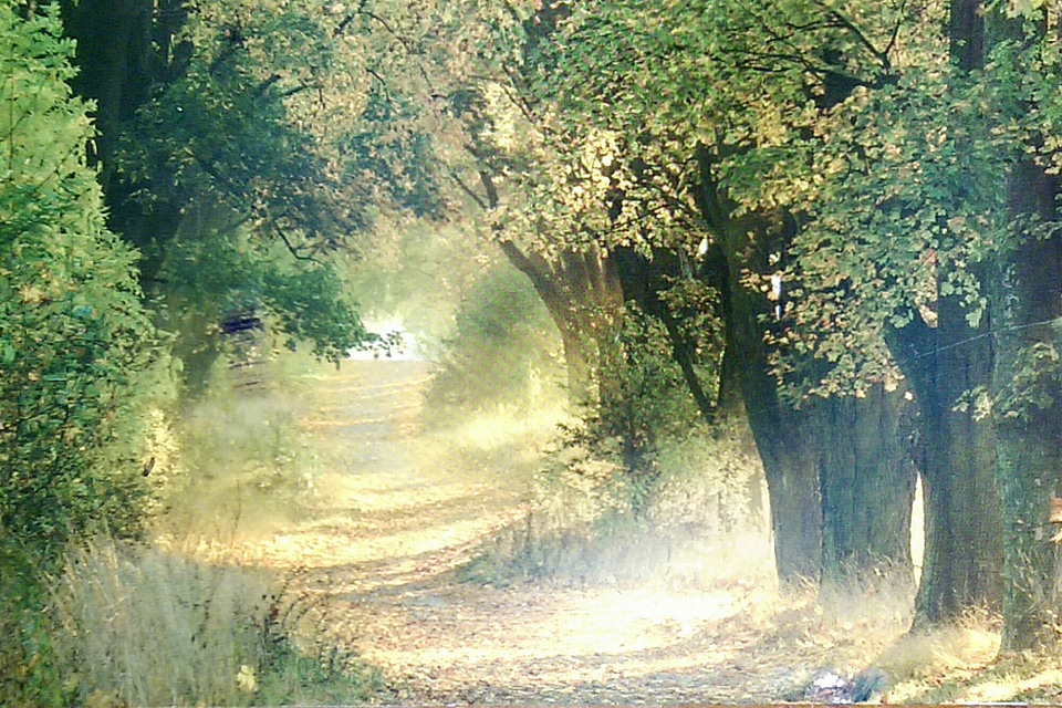 Autumn Valley with sunlight