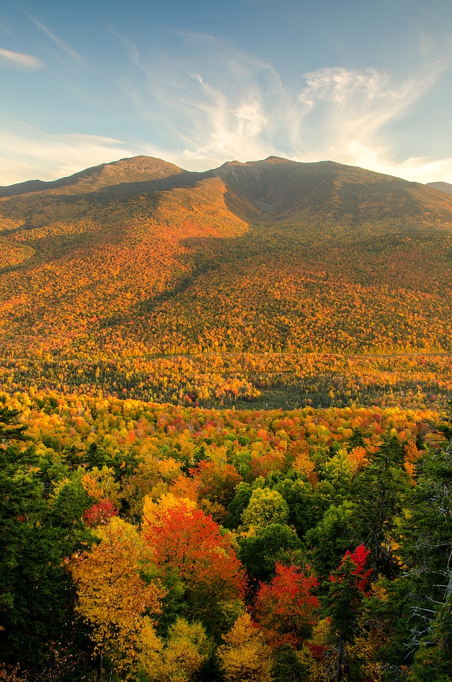 Autumn landscapes with hills and trees photo