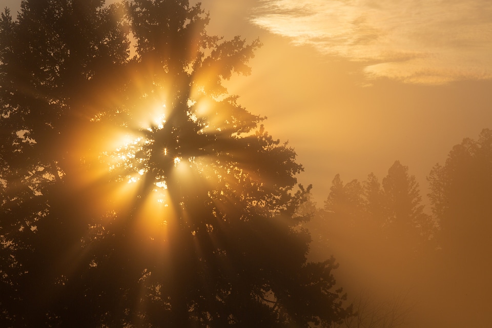 Foggy Yellow Sunrise