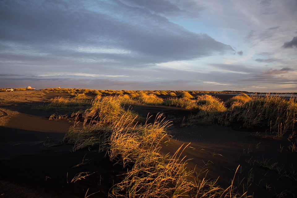 Wind-blown grass on the landscape photo