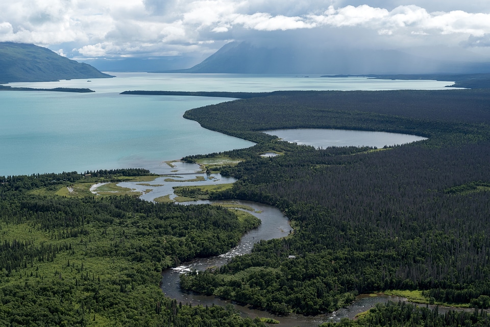 River and Lakes with forests in Katmai National Park