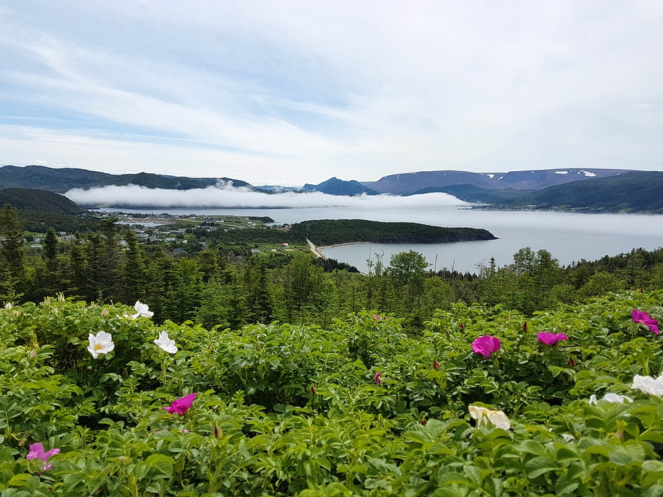 Norris Point overlook landscape