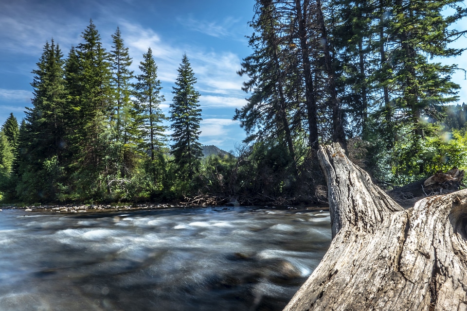 West Fork of the Madison River in Beaverhead-Deerlodge National Forest