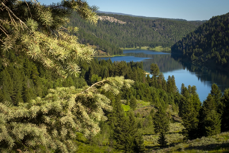 Scenic Lake view in Beaverhead-Deerlodge National Forest