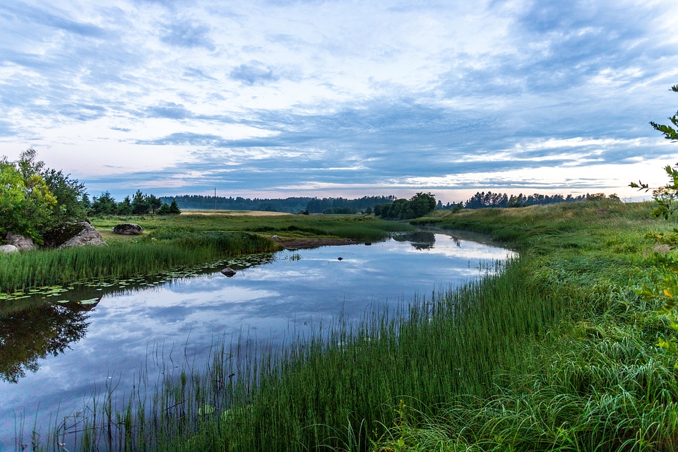 River running through the landscape