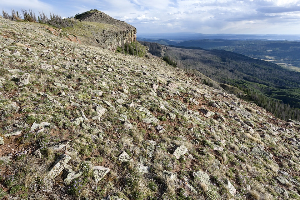 Continental Divide Trail in the San Juan Mountains