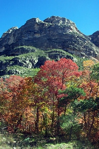 Fall Colors and Hills at Guadalupe Mountains National Park