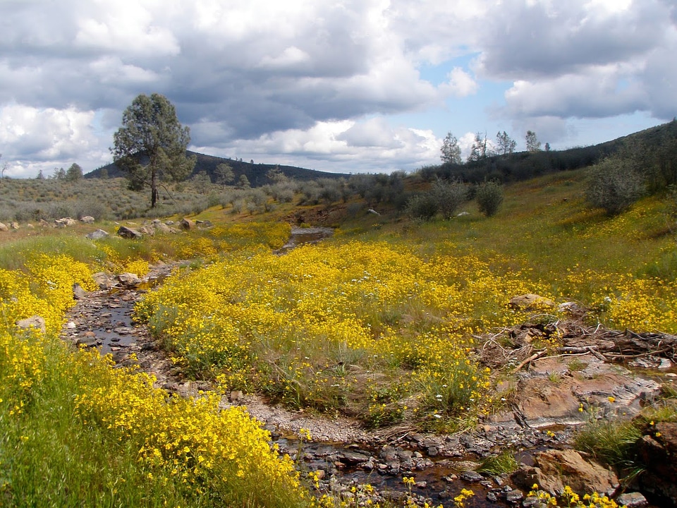 Clouds over the wildflower landscape in the Red Hills