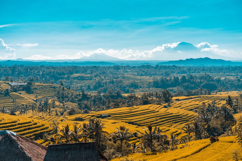 Scenic landscape with valley and mountains