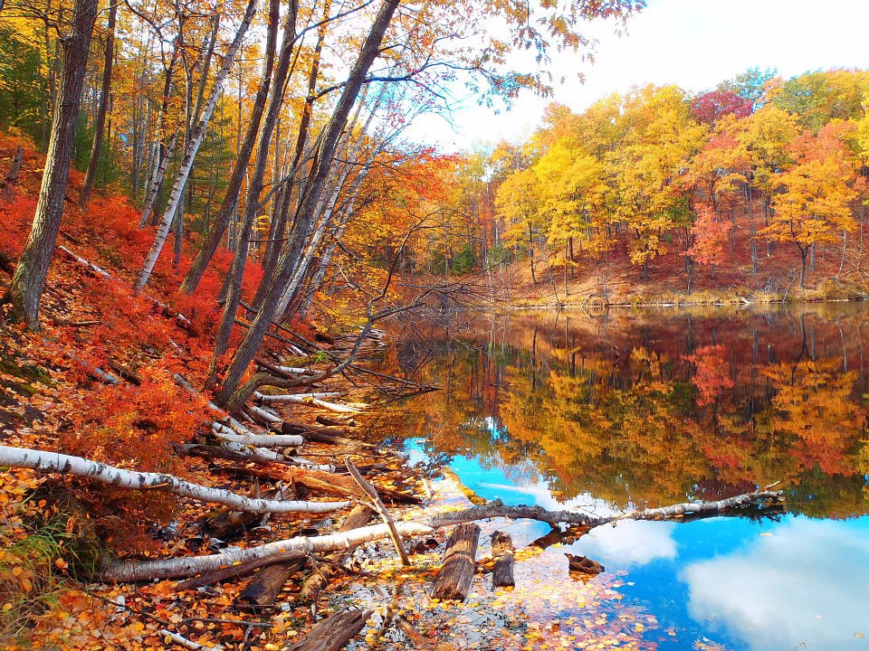 Fall Colors around Crater Lake in Michigan