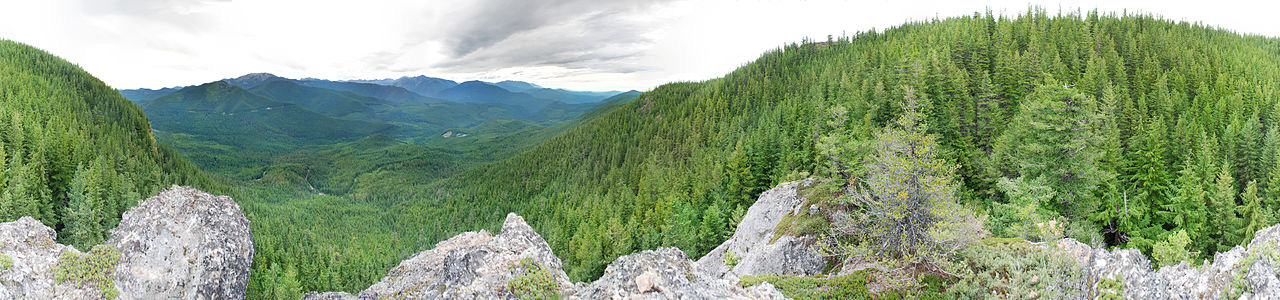 Panoramic of Mount Zion in Olympic National Forest